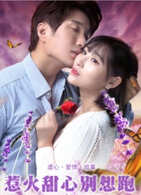 Cô Em Nóng Bỏng, Đừng Cố Bỏ Chạy - Honey, I demand your love (2018)