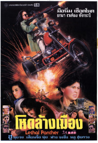 Nữ Sát Thủ Xinh Đẹp - Lethal Panther (1990)